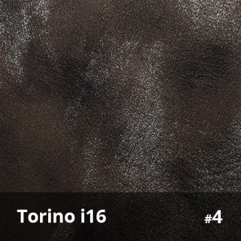 Torino i16 4